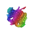 Rainbow Rayquodon